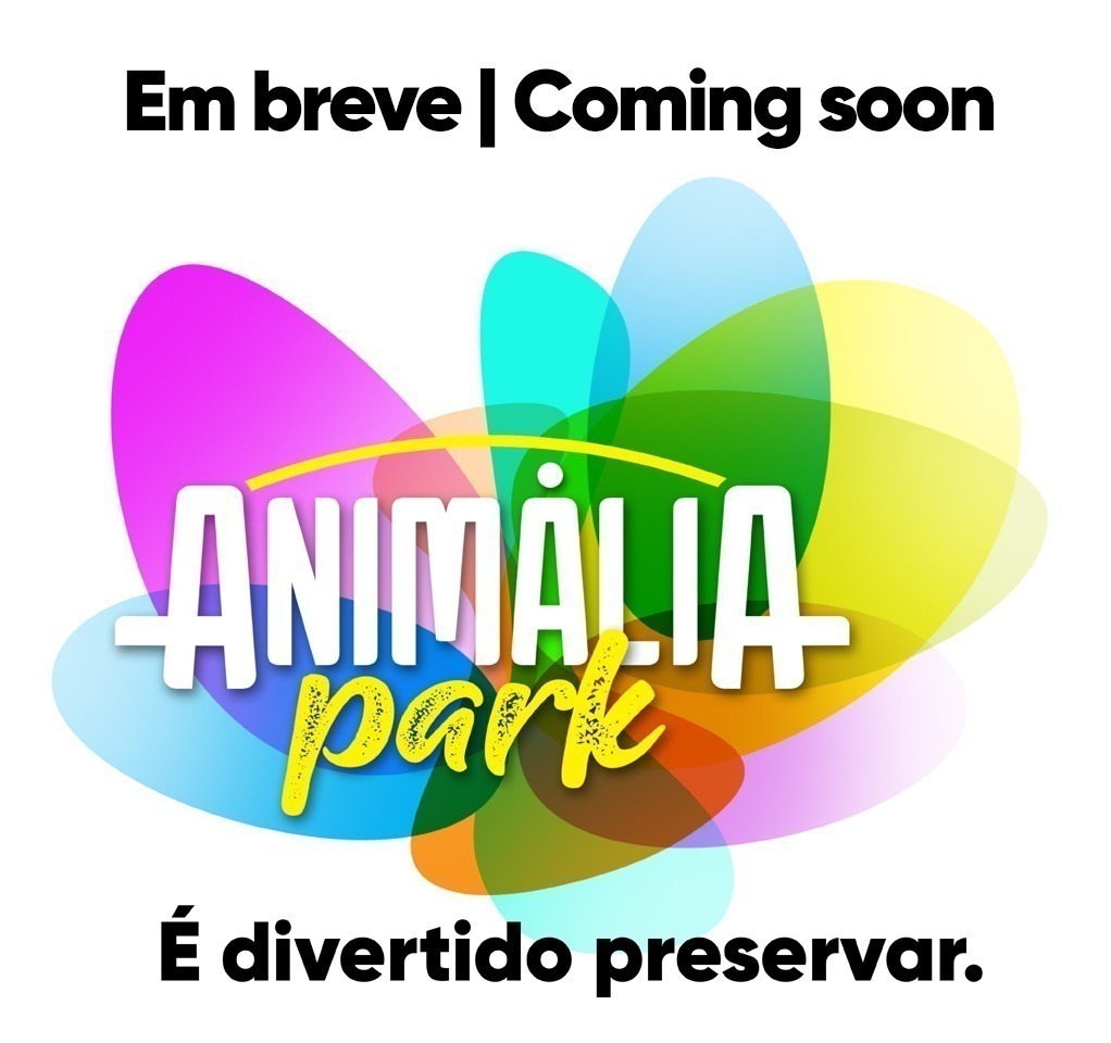 Em breve...