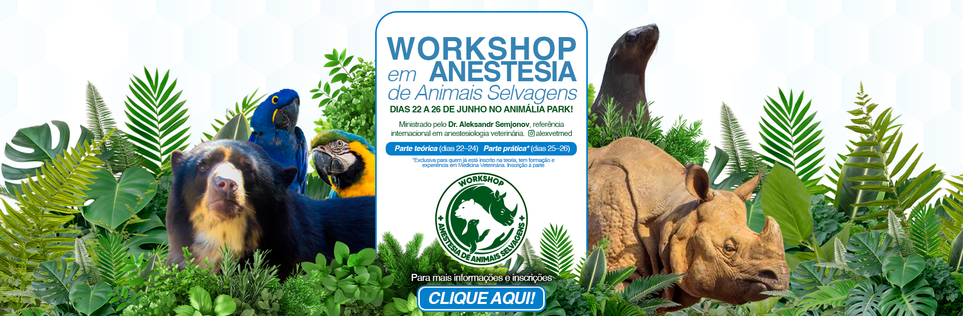 workshop_anestesia